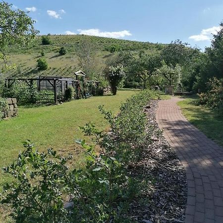 Monteurunterkunft Maria Freital Exteriér fotografie