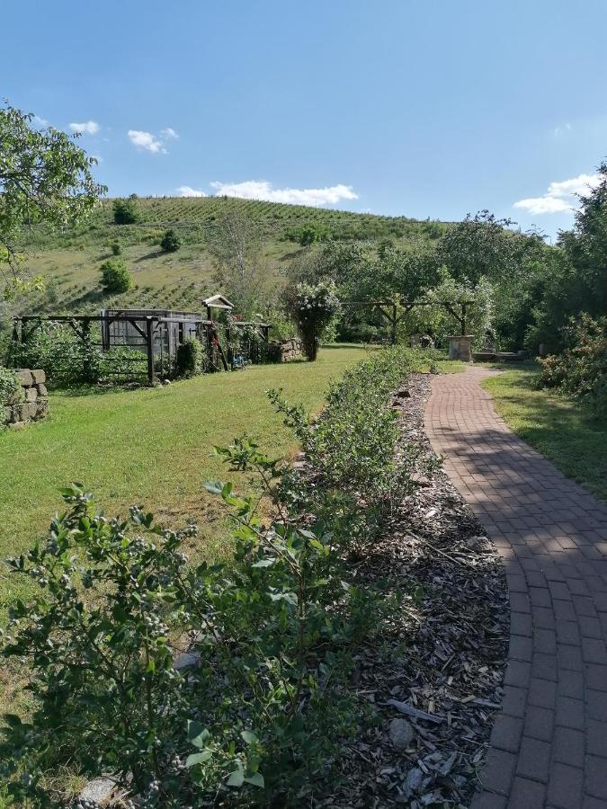 Monteurunterkunft Maria Freital Exteriér fotografie